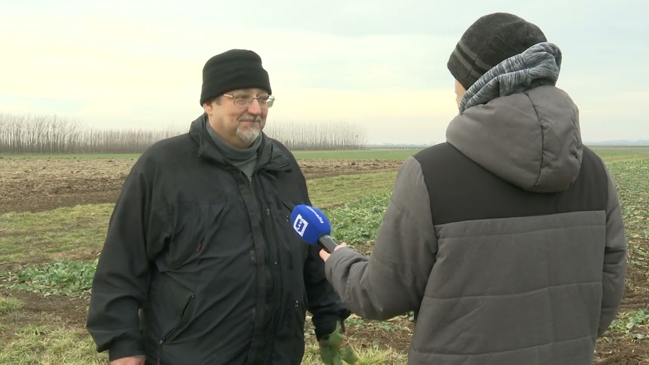 Zlatna Dolina 15.02.2026.