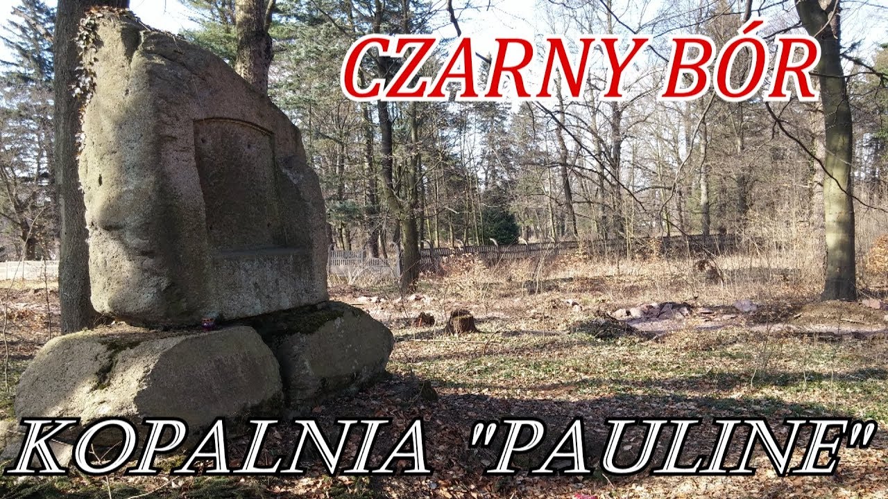 Wyprawy Leona- Z Pierwszej Ręki 
