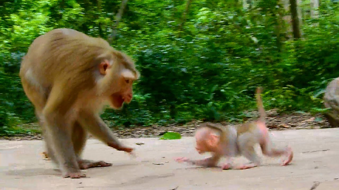 Funny clip of mom Joyce and daughter Jacee