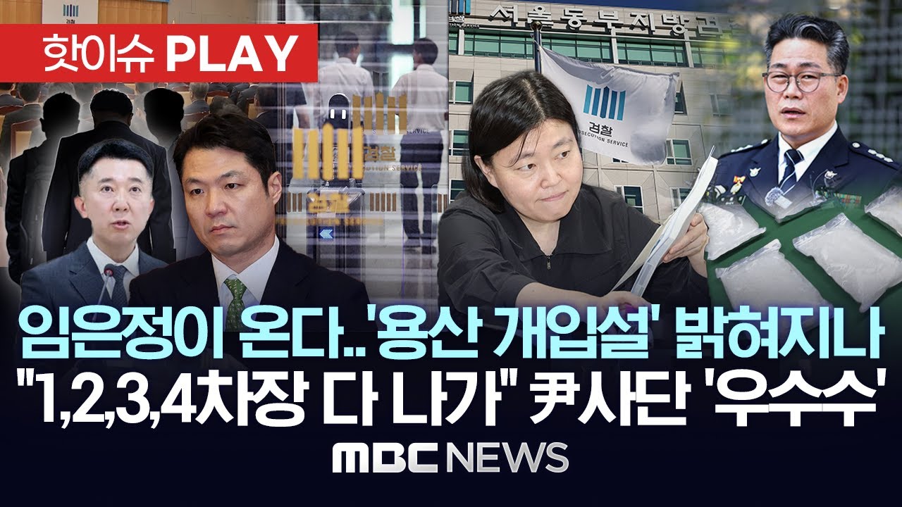 임은정이 온다..세관 마약수사 '용산 개입설' 밝혀지나, 