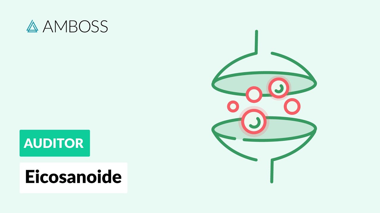Eicosanoide - Was haben Prostaglandine, Thromboxane und Leukotriene gemeinsam? - AMBOSS Auditor