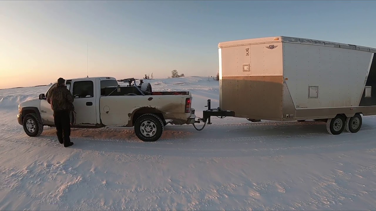 Arctic Wolf Hunt