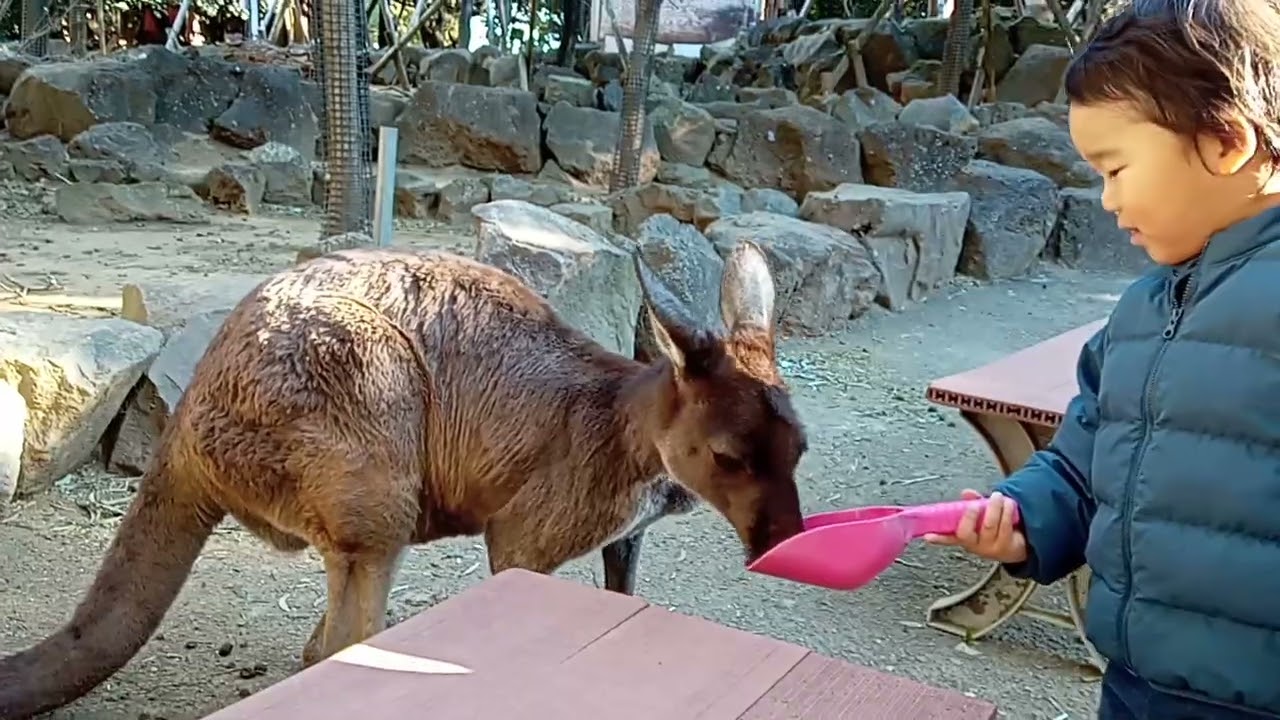 ［20260112］シャボテン公園①