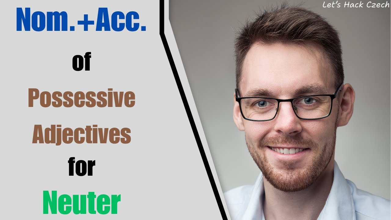 Nominative + Accusative of Czech Possessive adjectives for Neuter