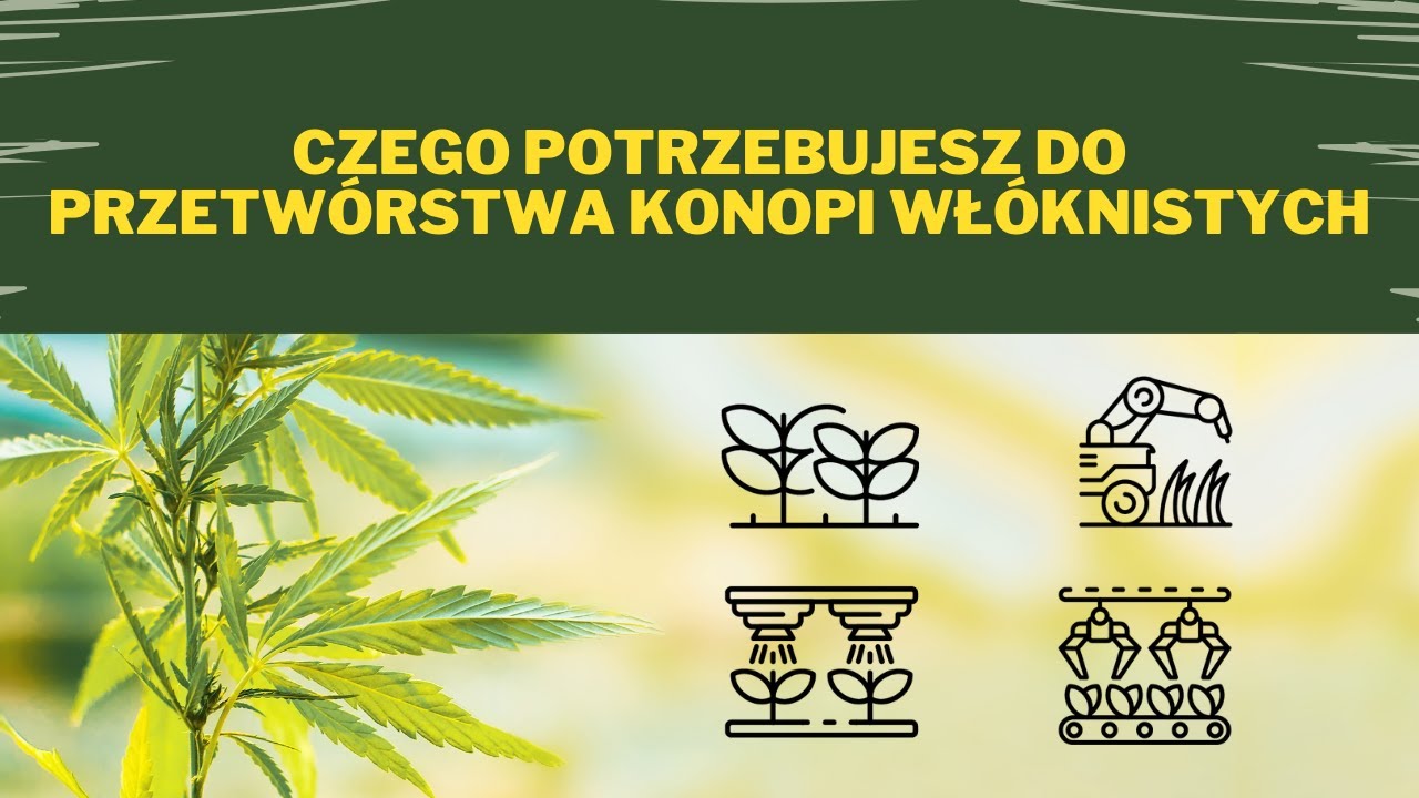 Czego potrzebujesz do przetwórstwa konopi włóknistych - TECH4HEMP - odcinek 2