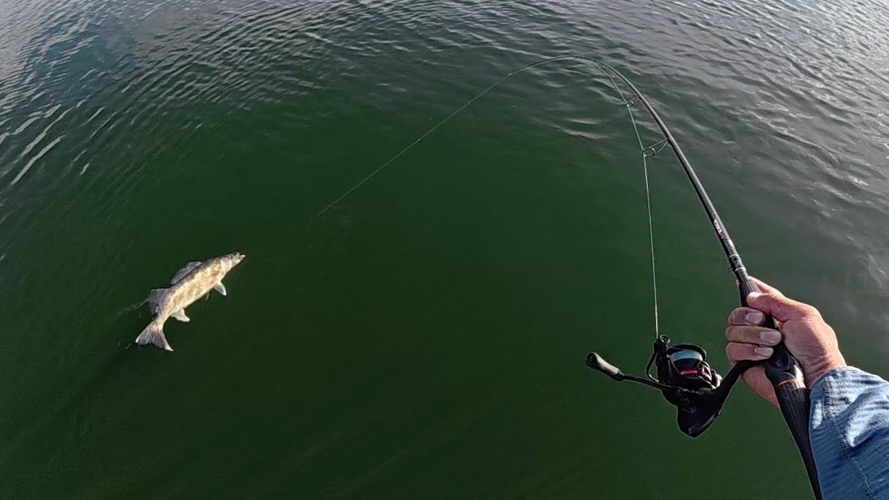 Fishing Pre-Spawn Walleyes at First Ice Off!