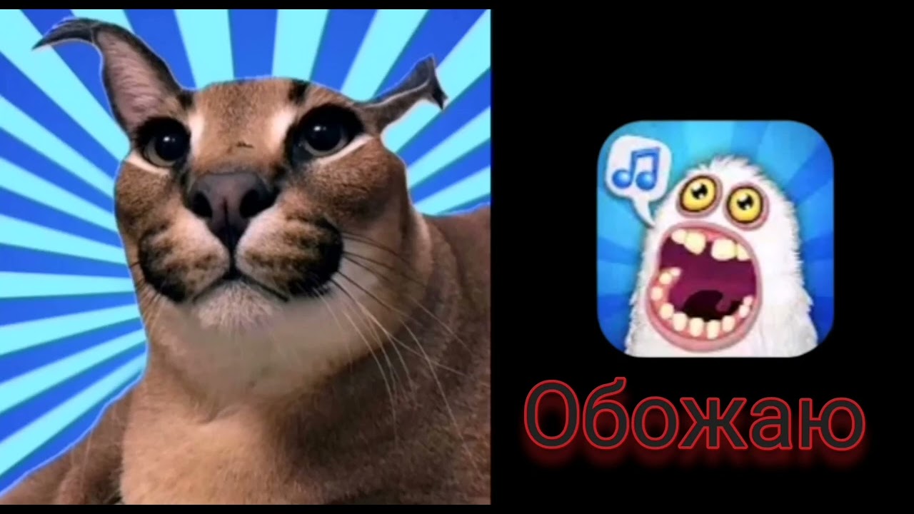 Floppa Rating Games