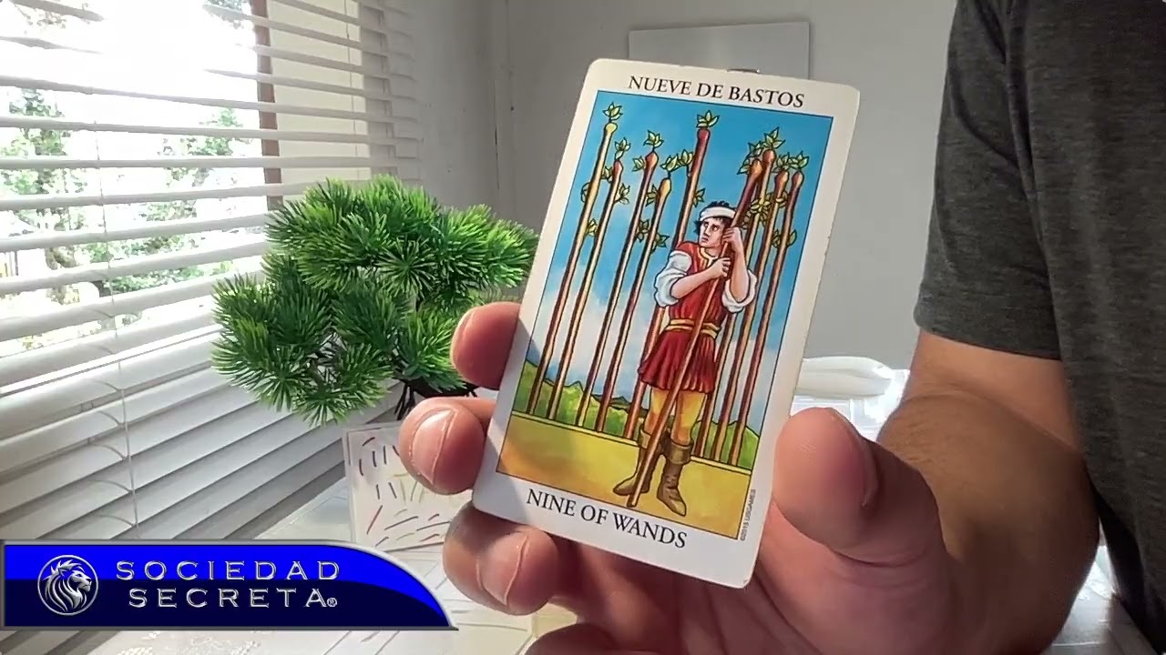 TAURO COMIENZOS DE FEBRERO 2026 ::: HOROSCOPO HOY TAROT
