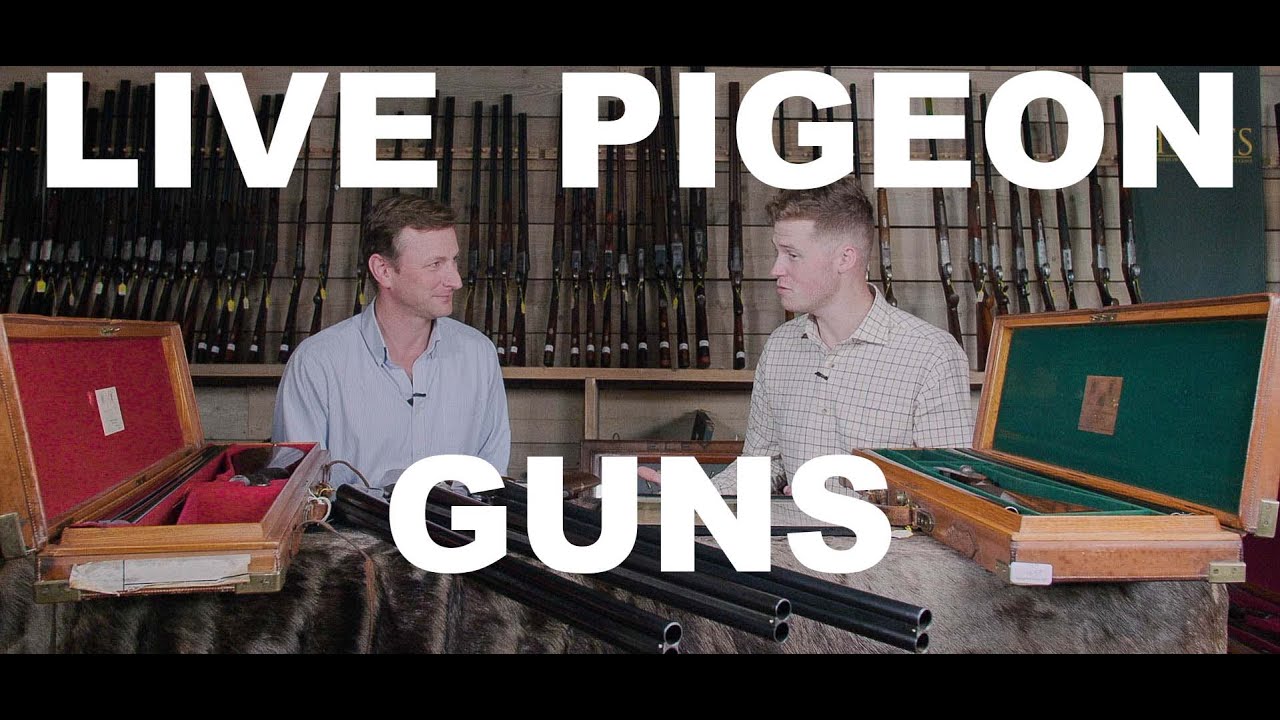 What is a Live Pigeon Gun?