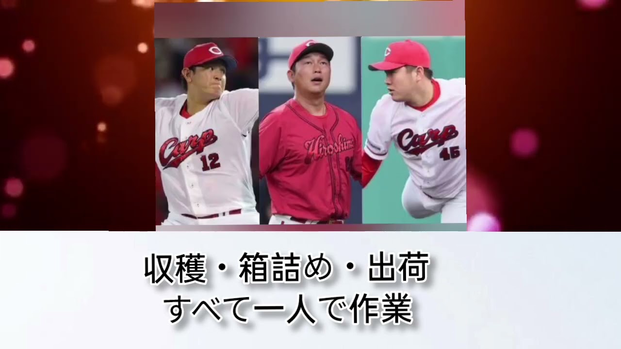 【プロ野球引退後の人生】元楽天・石橋良太がネギ農家に転身した理由｜年俸2600万円から畑へ