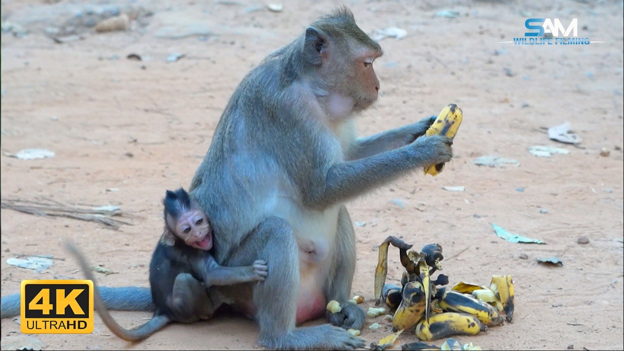 Teaching Self-Control: JULINA's Method for Feeding Patience