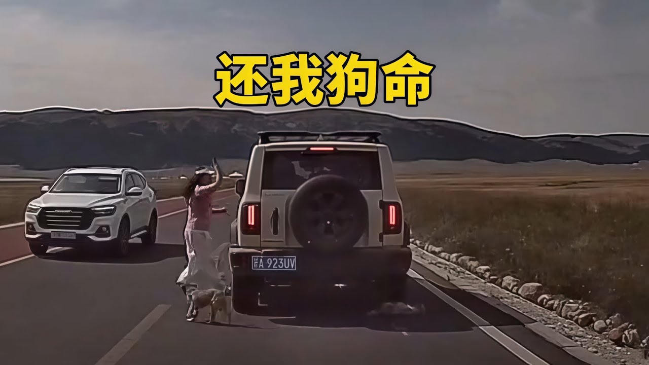 遛狗不牽繩的人，這下總該知道錯了吧！太解氣了