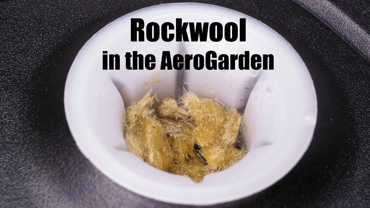 Using Rockwool in the AeroGarden