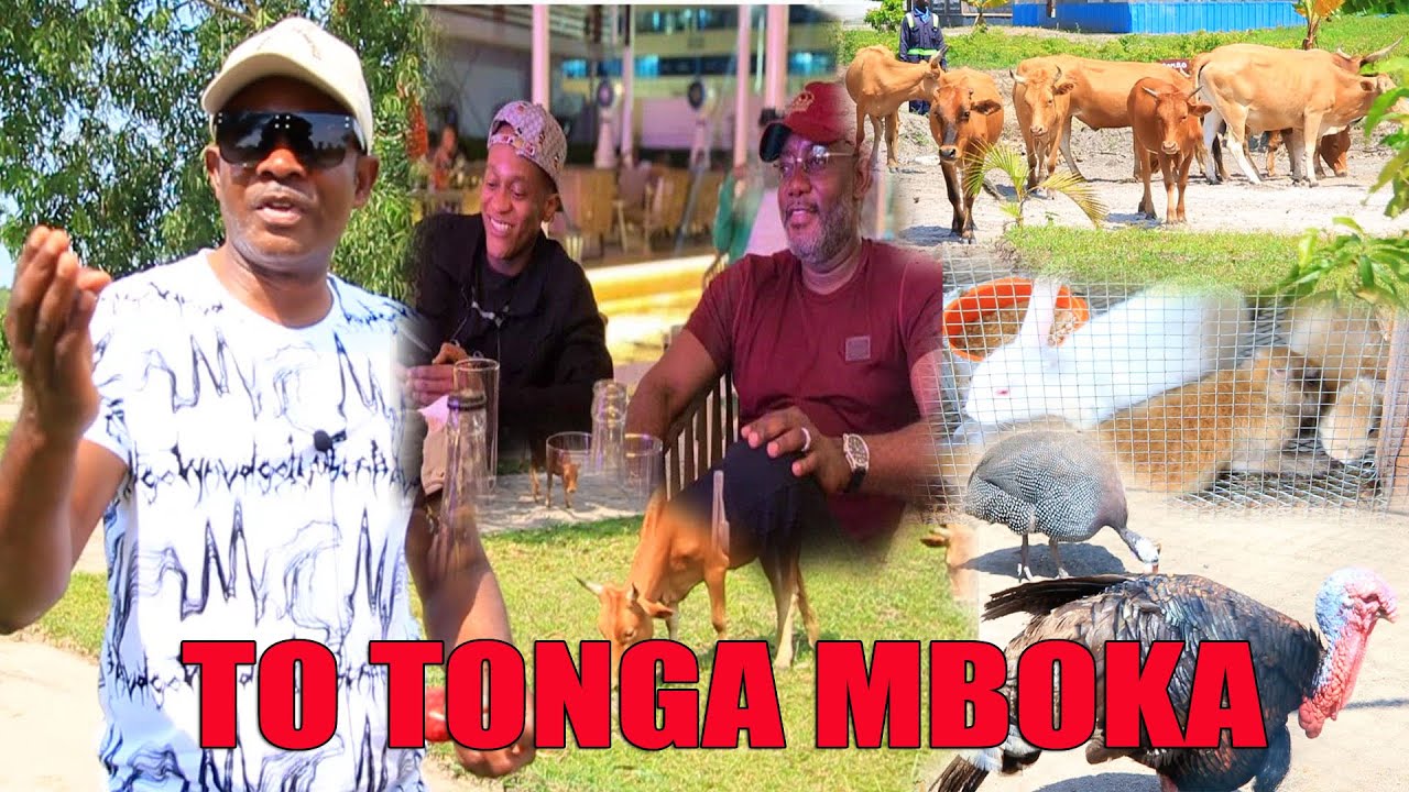Télé réalité ☺ WILLY MANDALA ASALI NA KINSHASA FERME LA SEMENCES DU CONGO AZOLIESA CONGO SOMO