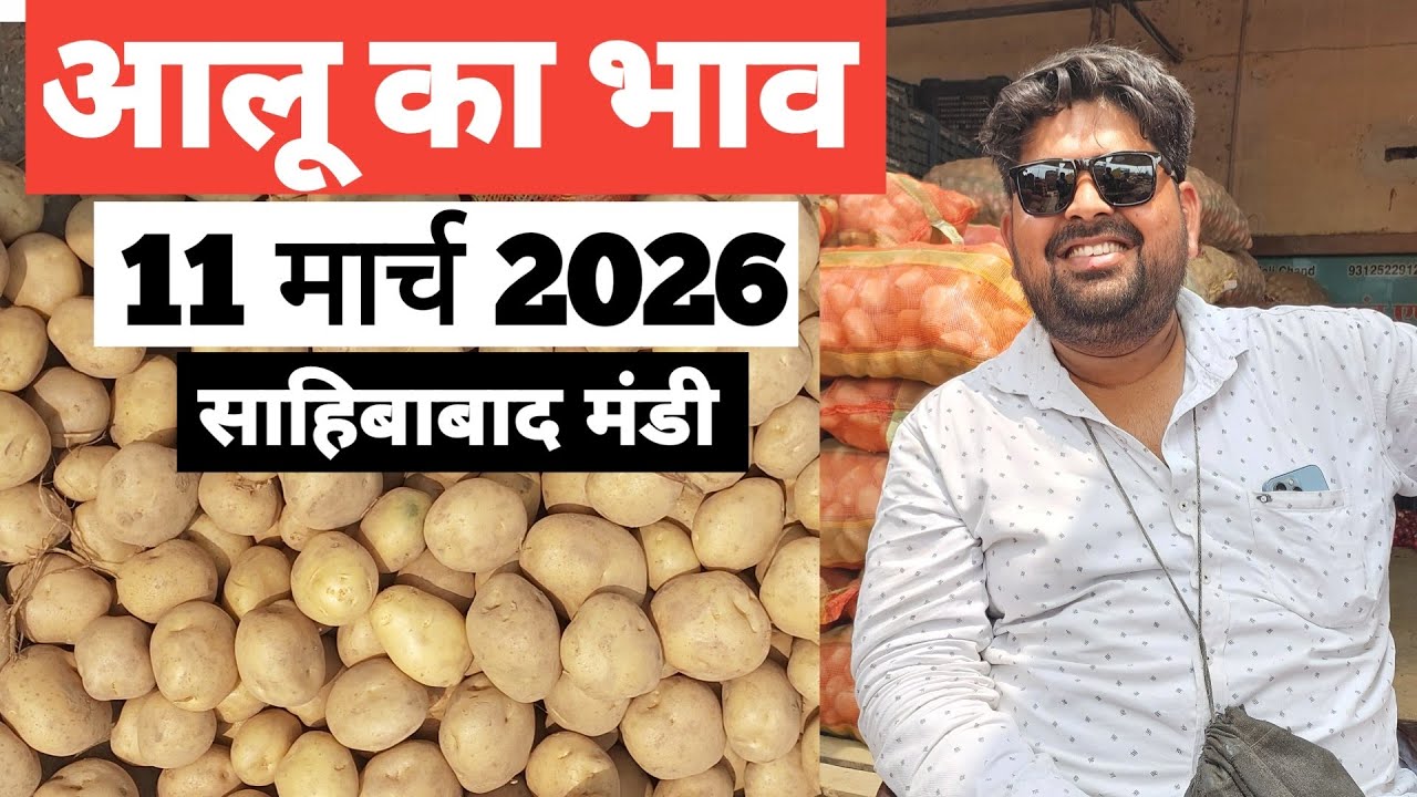 11 March 2026 🥔 आलू का भाव साहिबाबाद मंडी ।। Today Potato Rate in Sahibabad Mandi || Bharat ke Bazar