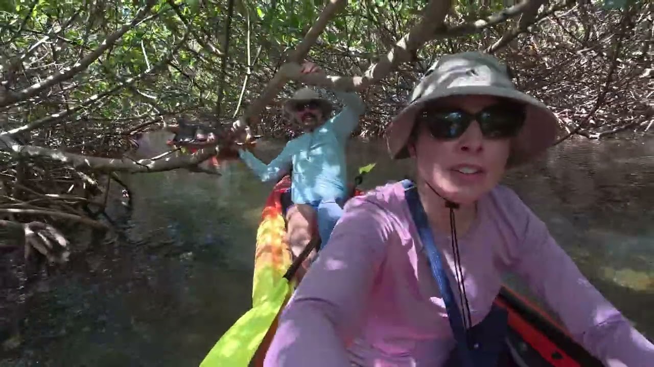 Key West, FL. Kayaking mangroves