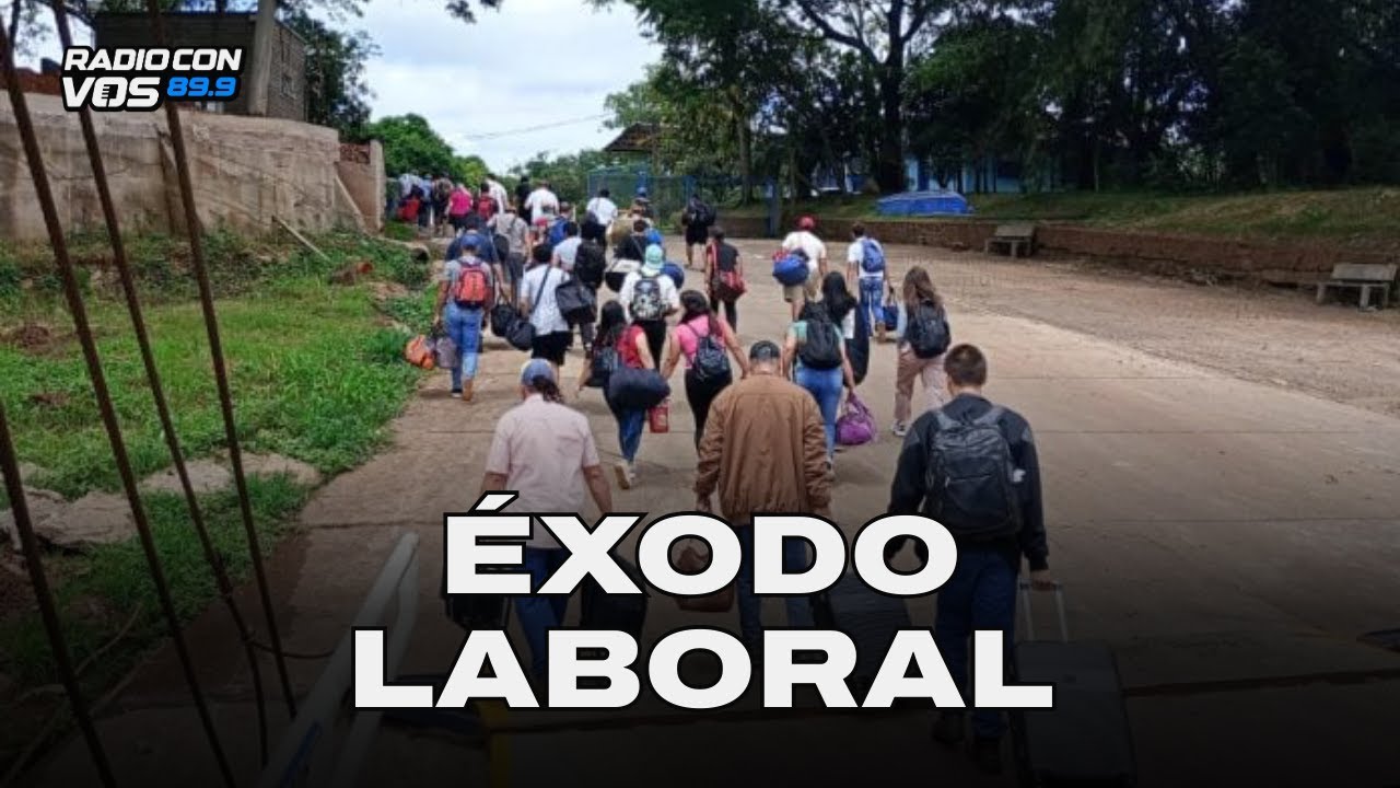 ¿Por qué TRABAJADORES en MISIONES EMIGRAN a BRASIL? l VICTORIA LIPPO