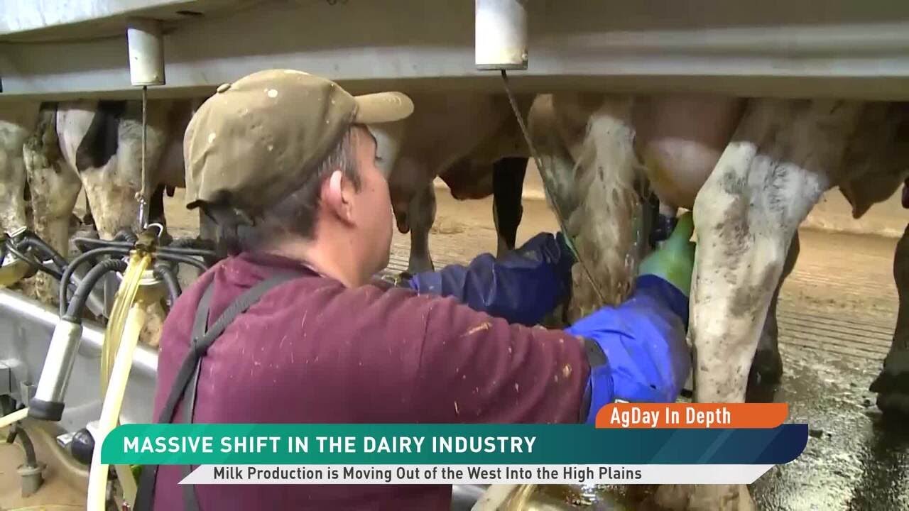 Подробный обзор AgDay: перспективы развития молочного сектора с Карен Бонерт