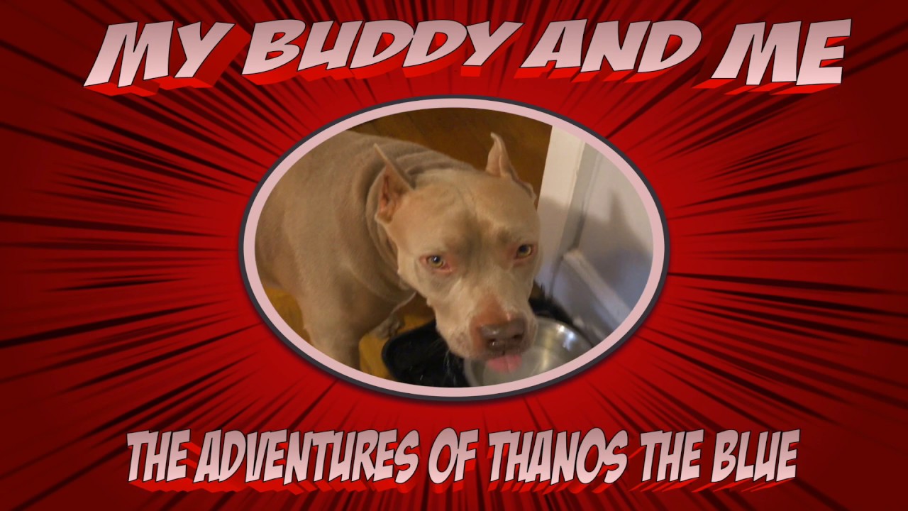 My buddy and me the adventures of Thanos the blue
