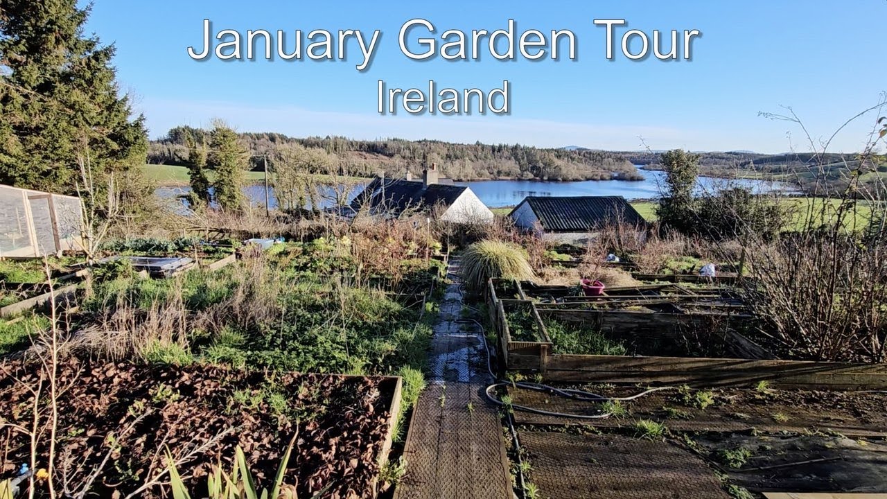 Winter Garden Tour in Ireland – January 2026, Part 1