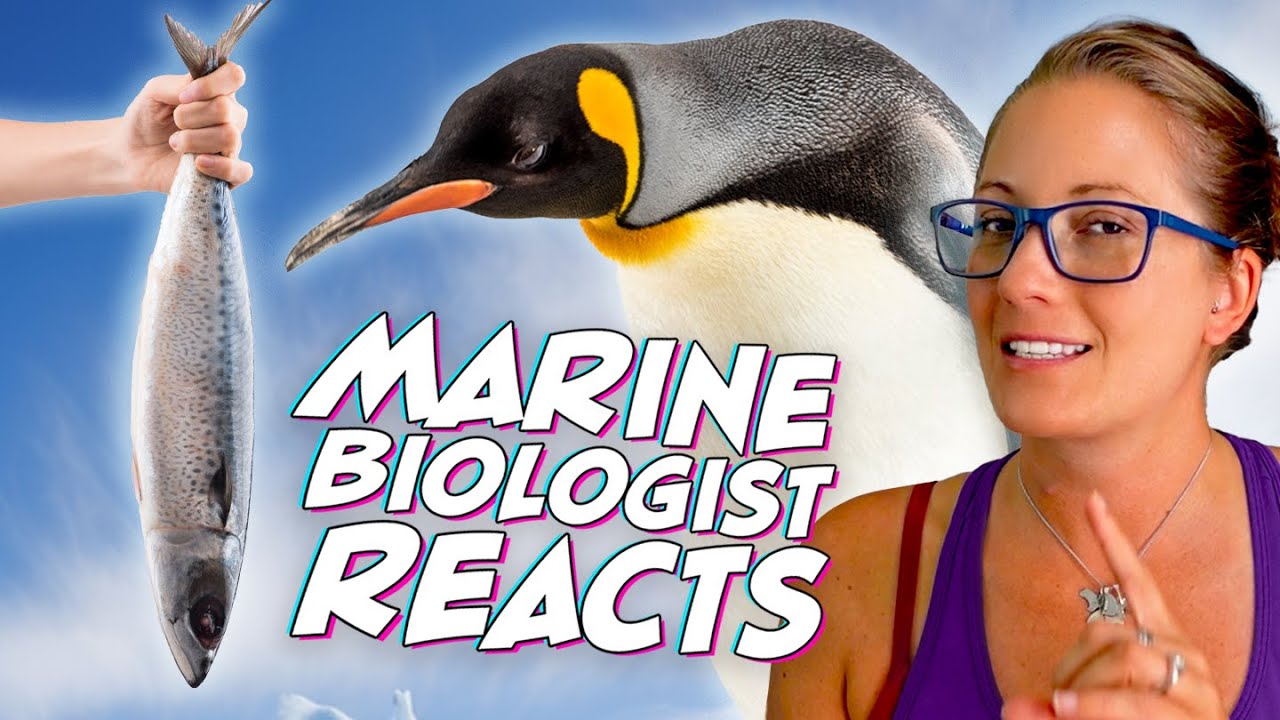 Penguins REFUSE To Eat Cheap Fish! But Why?