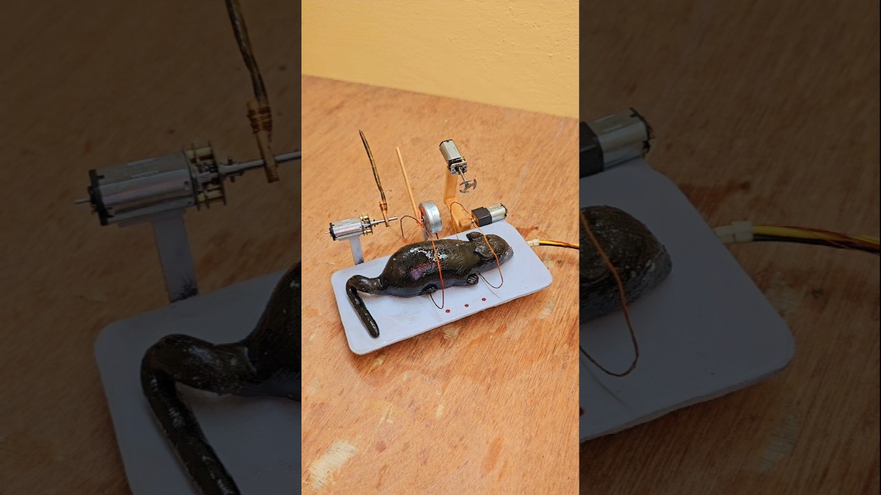 New rubber mouse trap in action with all the features #engineering #MOUSETRAP #funny #dcmotor