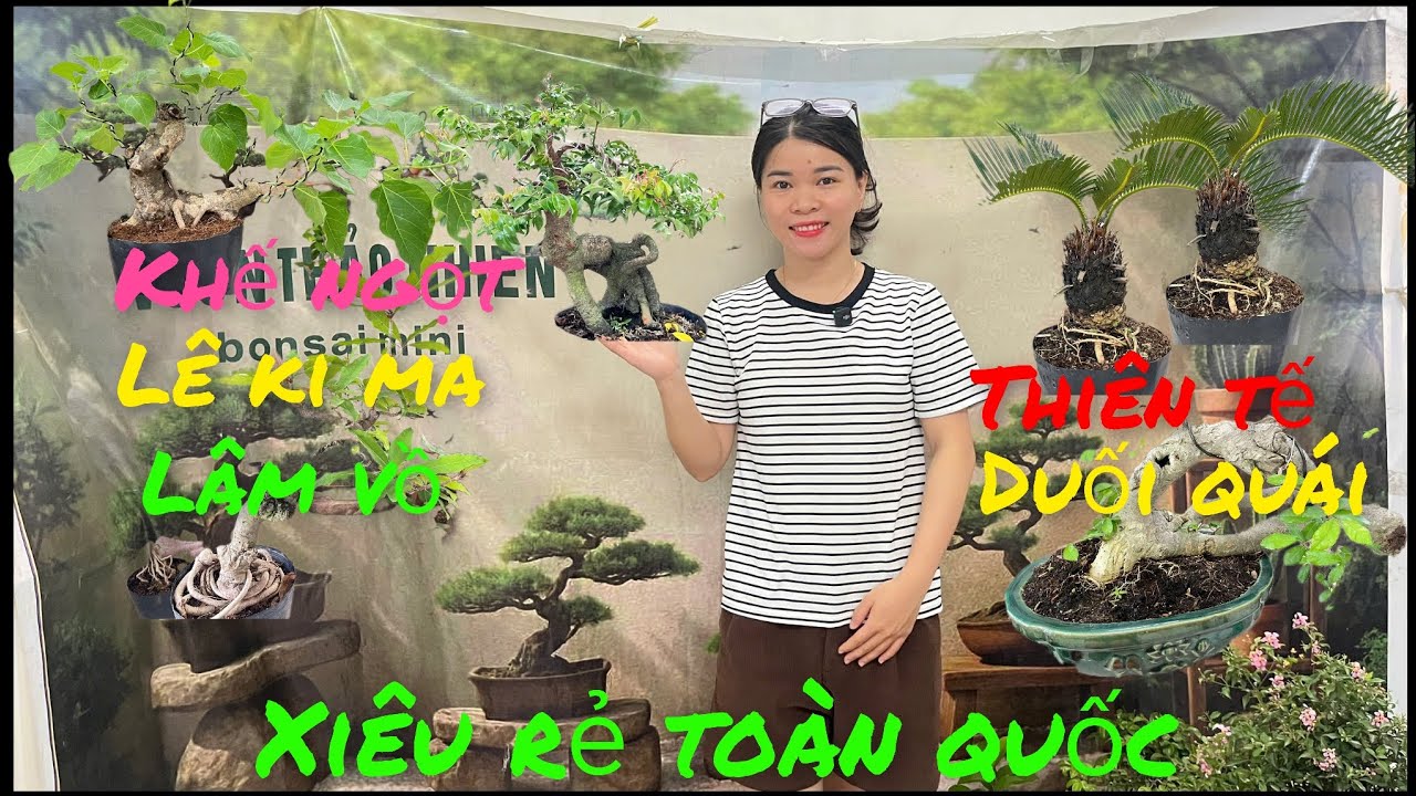 6/3 Giao lưu .khế ngọt .thiên tế .duối .lâm vồ .lê ki ma .hồng ngọc mai #lh0393689271# bao Síp ...