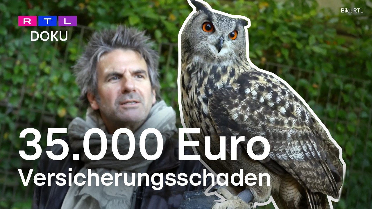 Tote Eulen: Zahlt die Versicherung den Schaden? | RTL DOKU