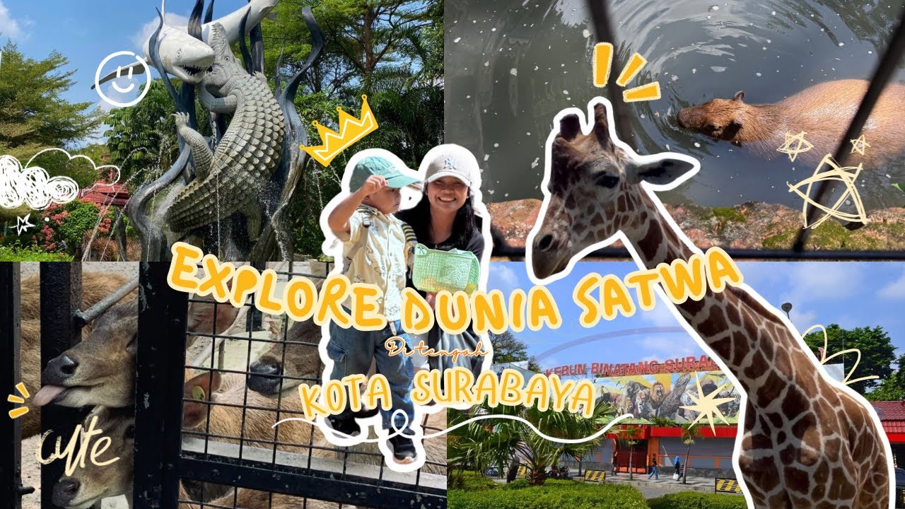 GAK NYANGKA BISA SESERU INI❗️❗️❗️Main di Kebun Binatang Surabaya 😱