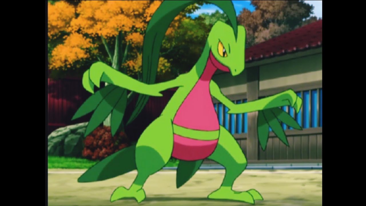 ash grovyle all attacks & moves