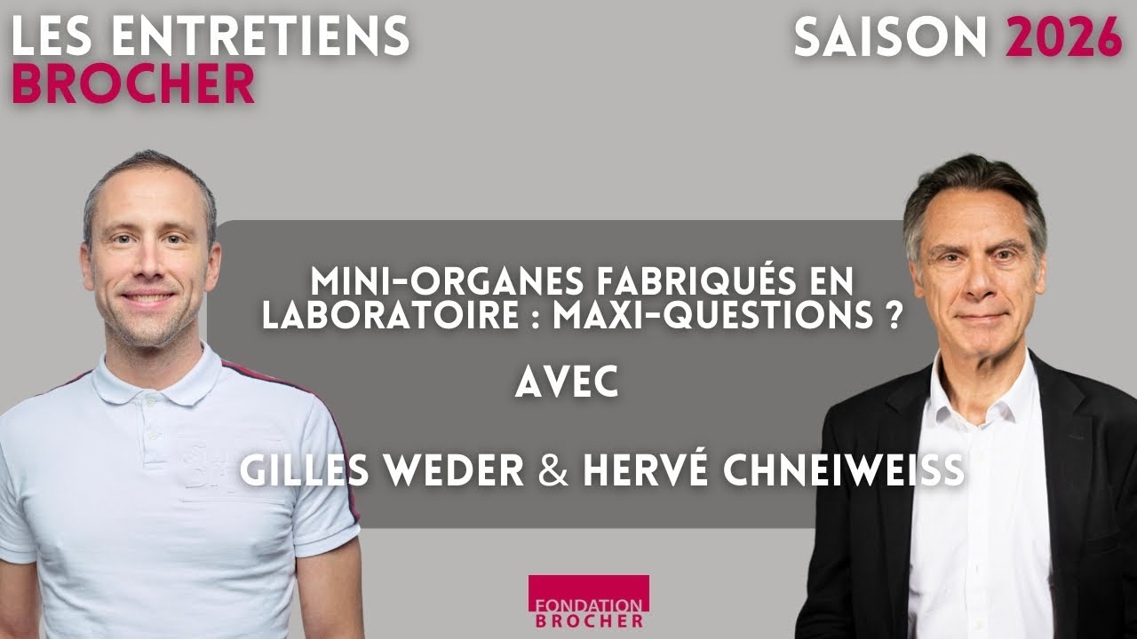 Mini-organes fabriqués en laboratoire : maxi-questions ? | Gilles Weder & Hervé Chneiweiss