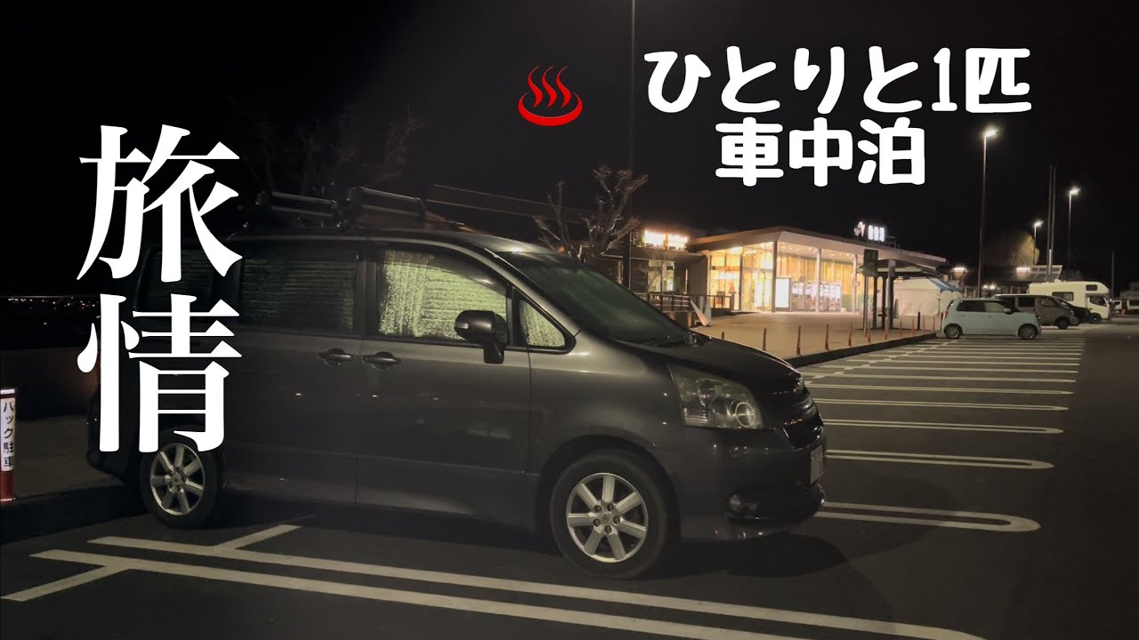 【犬と車中泊】サービスエリアで旅情感じる車中泊