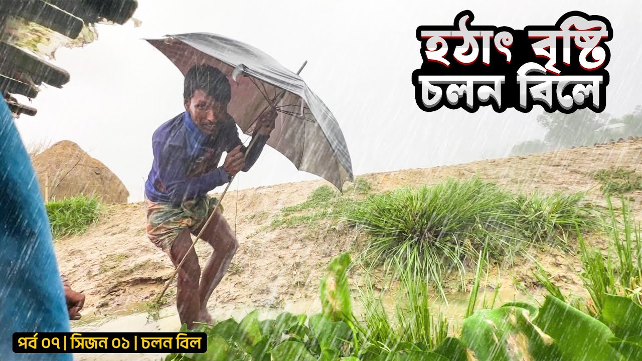 হঠাৎ বৃষ্টি চলন বিলে | পর্ব ০৭ | সিজন ০১ | চলন বিল | Belayet Sarder | Mohsin ul Hakim