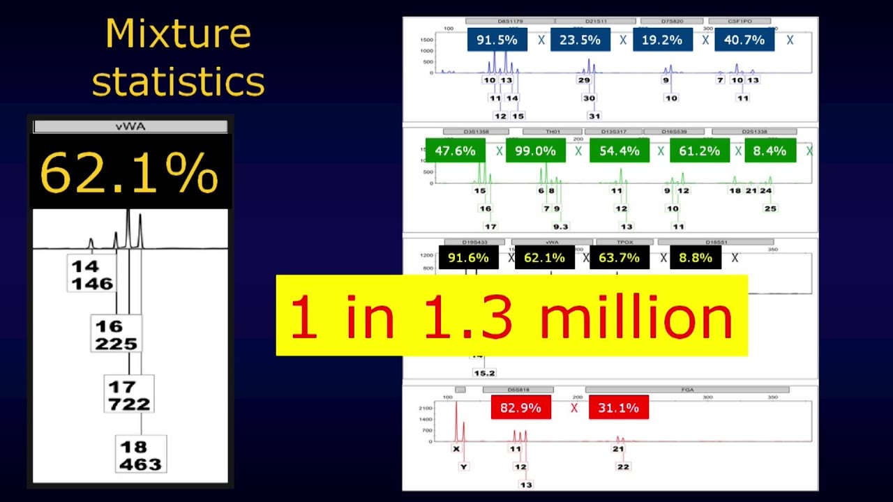 Statistical weights of mixed DNA profiles (HD version)