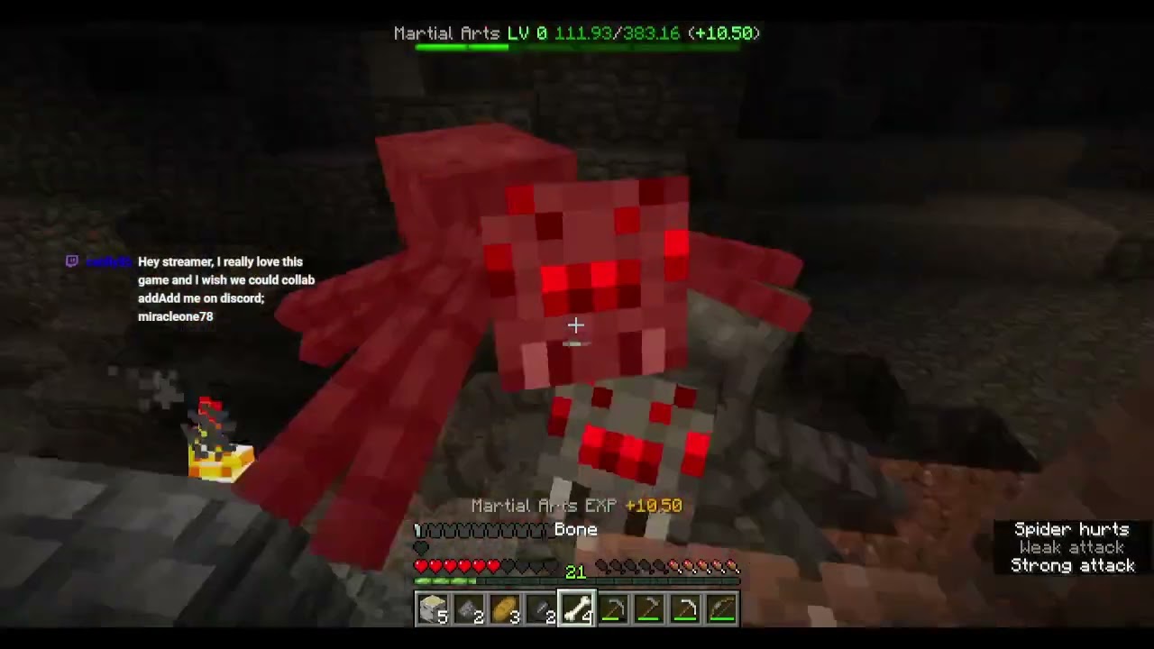 2025 05 13 When Tubbo's old Realm SMP test server was still about