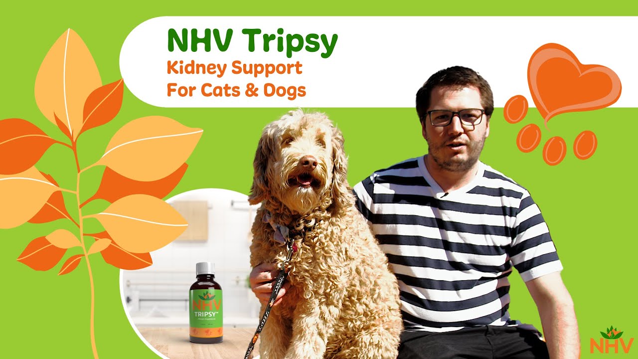 NHV Tripsy: Kidney & Bladder Support For Cats & Dogs