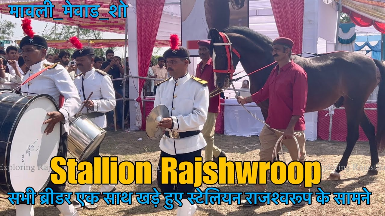 #मावली_मेवाड_ शो में सुल्तान लाइन के #राजश्वरुप घोड़े की शानदार एंट्री सभी ब्रीडरो ने किया सम्मान