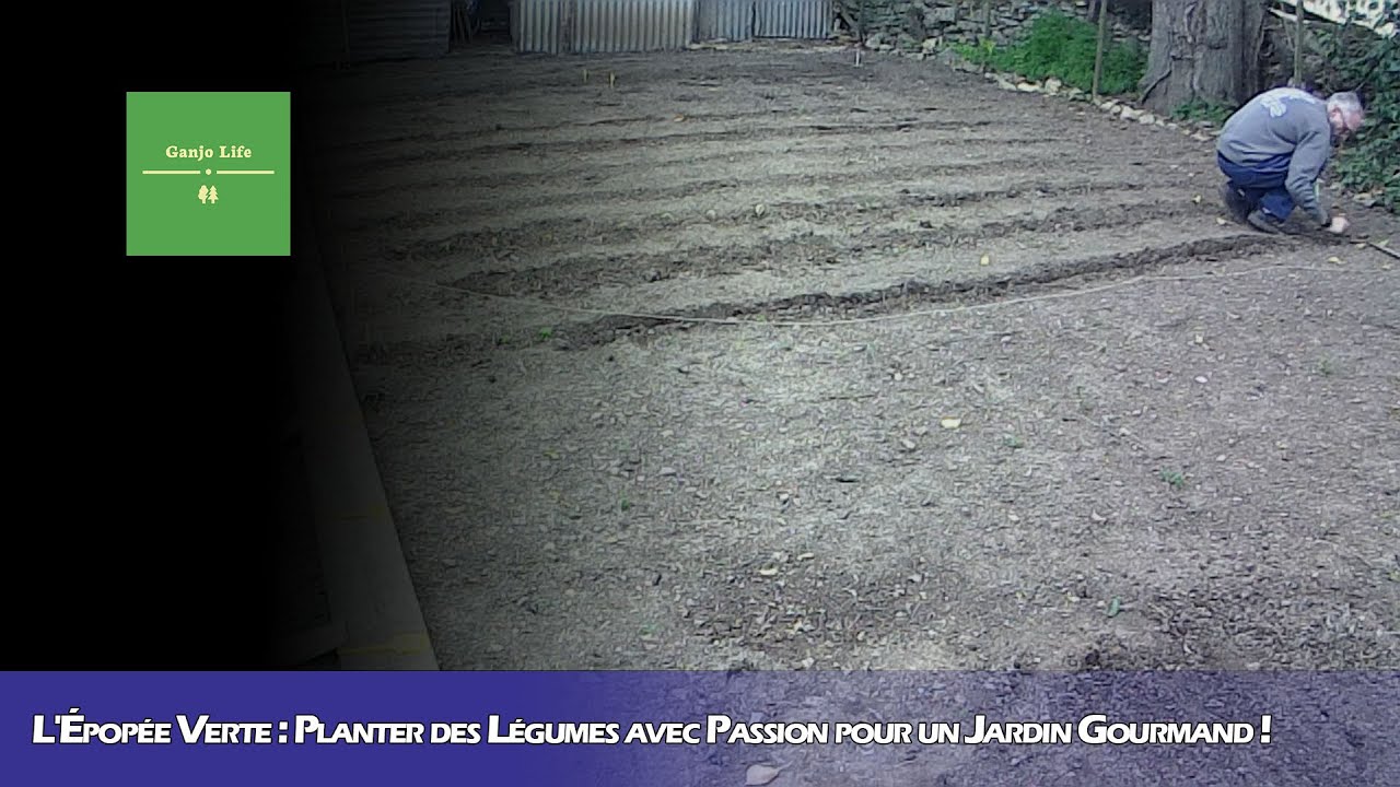 L'&Eacute;pop&eacute;e Verte : Planter des L&eacute;gumes avec Passion pour un Jardin Gourmand !