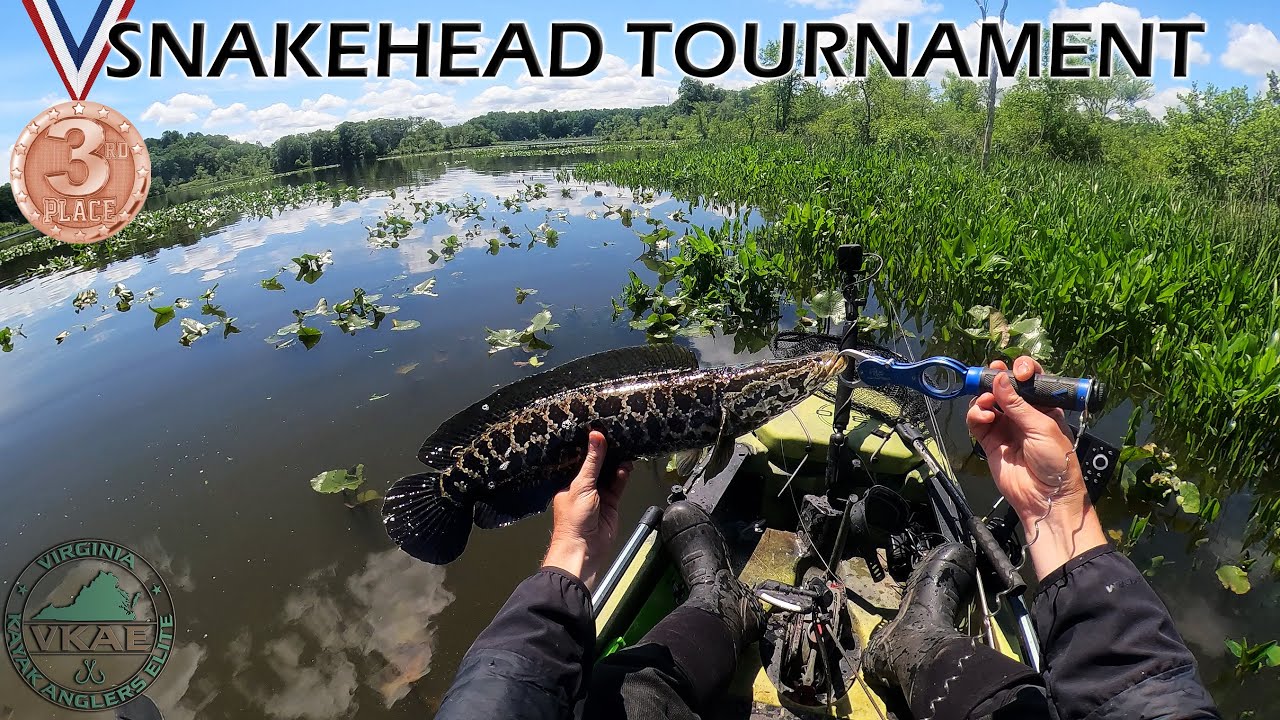 3rd Place Snakehead Tournament: VKAE Snakehead Slayahz Trail Stop #2: High Tide, High Sun
