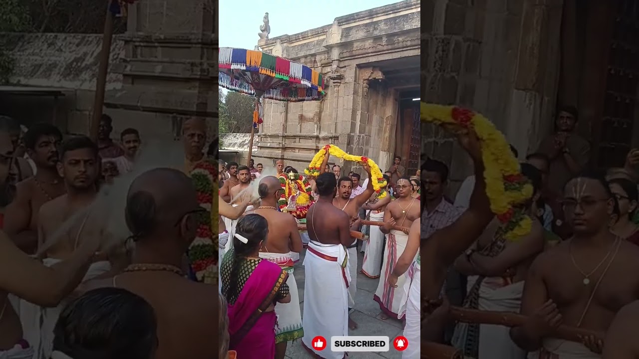 #பெருமாள்-தாயார் திருக்கல்யாணம் #trending #youtube #viral 
