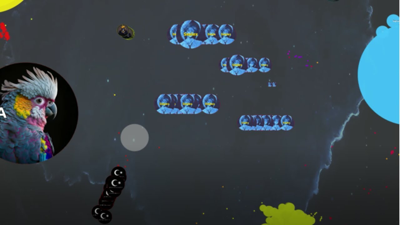 Agma.io Selffeed on redbull/EU