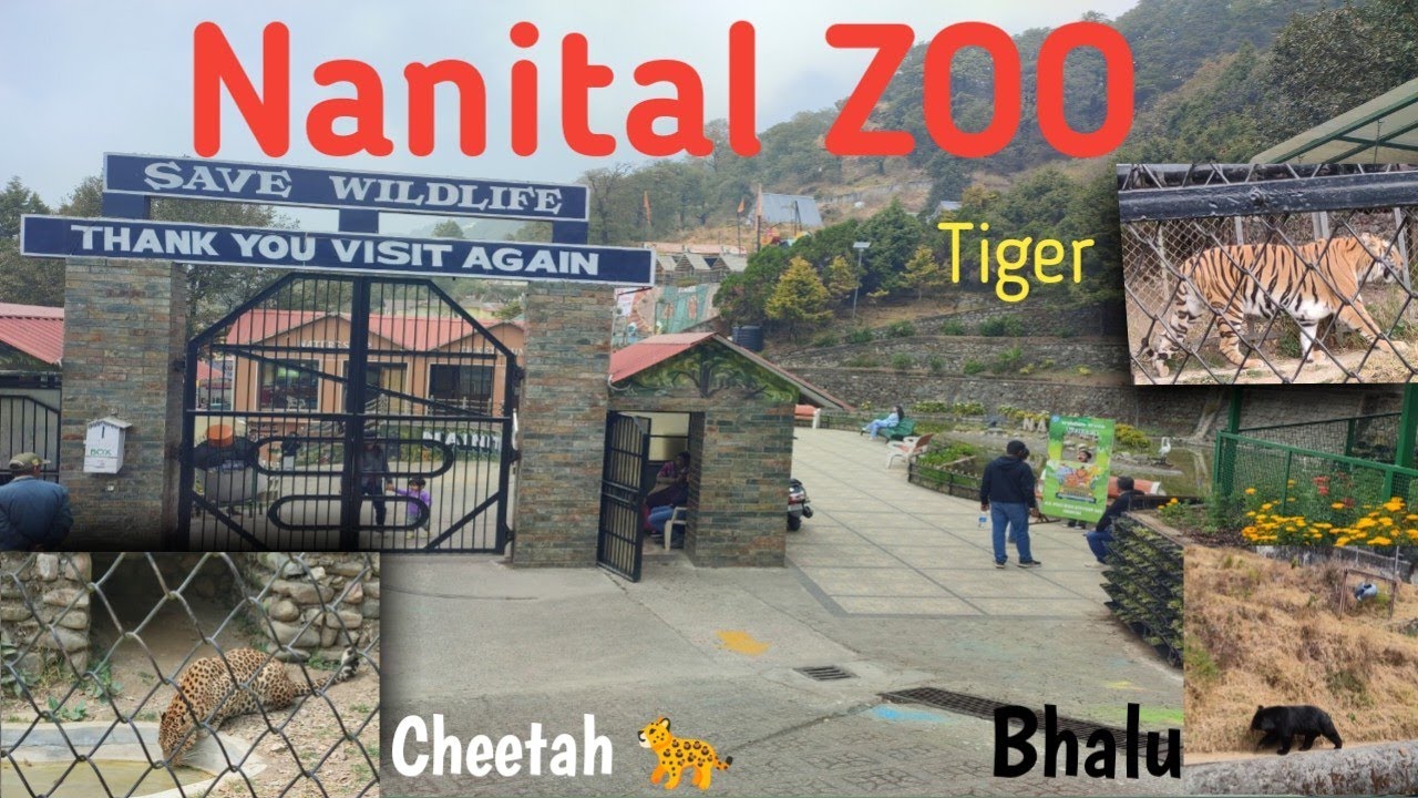 UK 19 Ramnagar New vlog Nanital ZOO #aadiukrider #motovlog #vlog #ride 