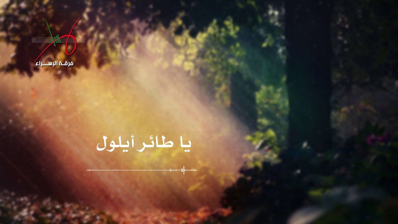 يا طائر أيلول المهاجر