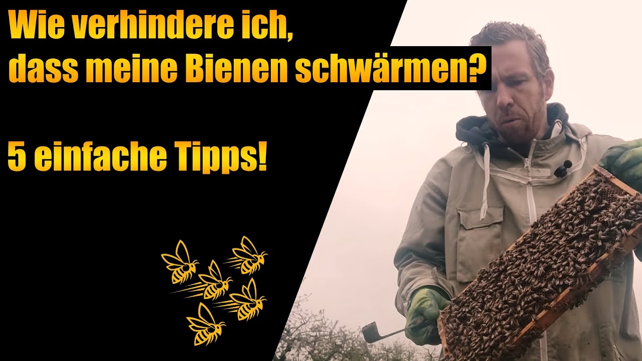Wie verhindere ich, dass meine Bienen schwärmen? 5 einfache Tipps!