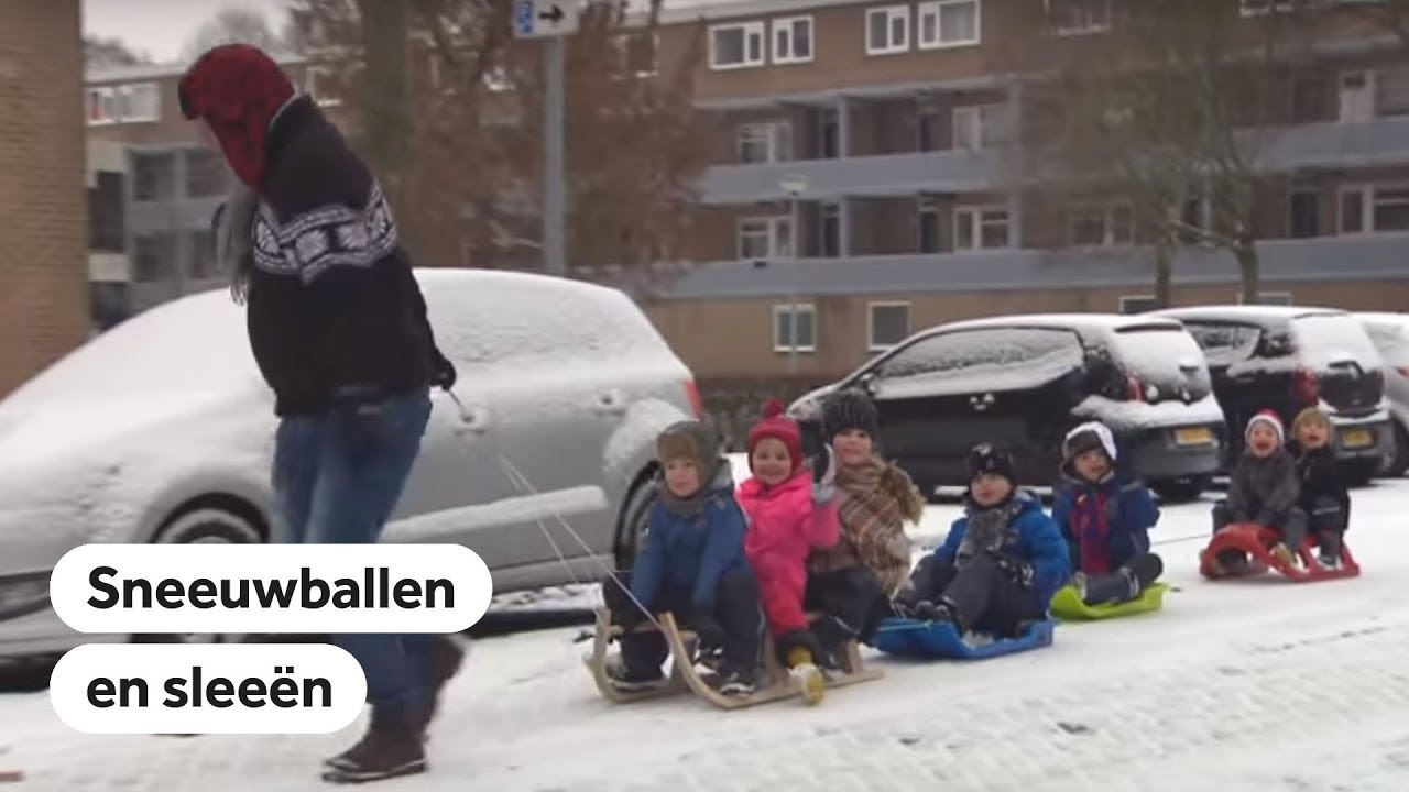 SNEEUW: Zo beleefde Nederland de eerste sneeuw van het najaar