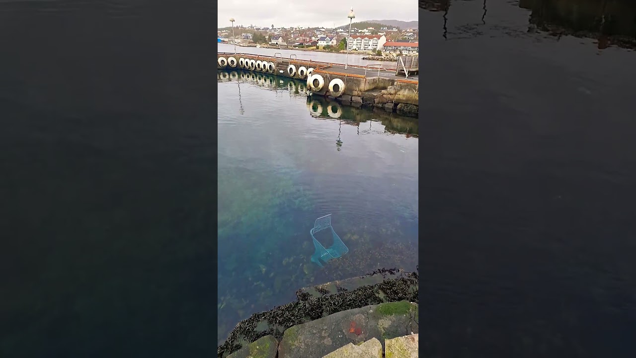 @bobbyypetrov @felicialx