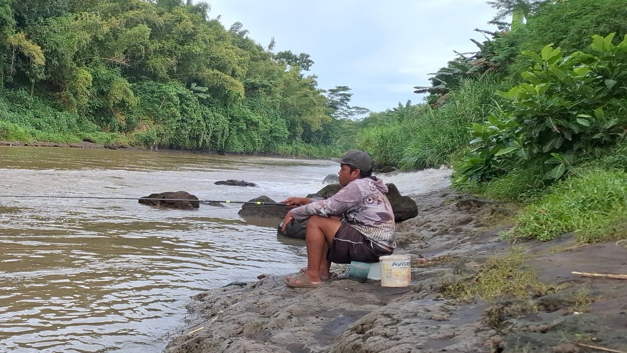 MANCING LIAR