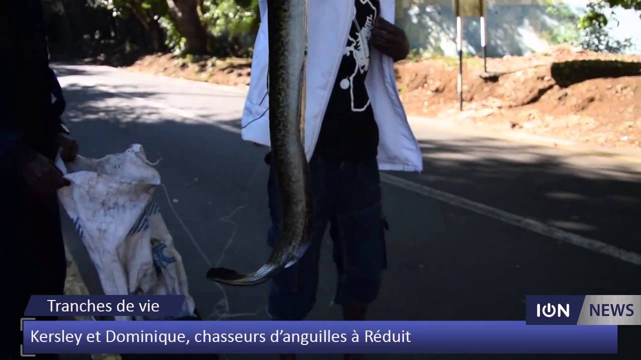 Kersley et Dominique, chasseurs d'anguilles à Réduit