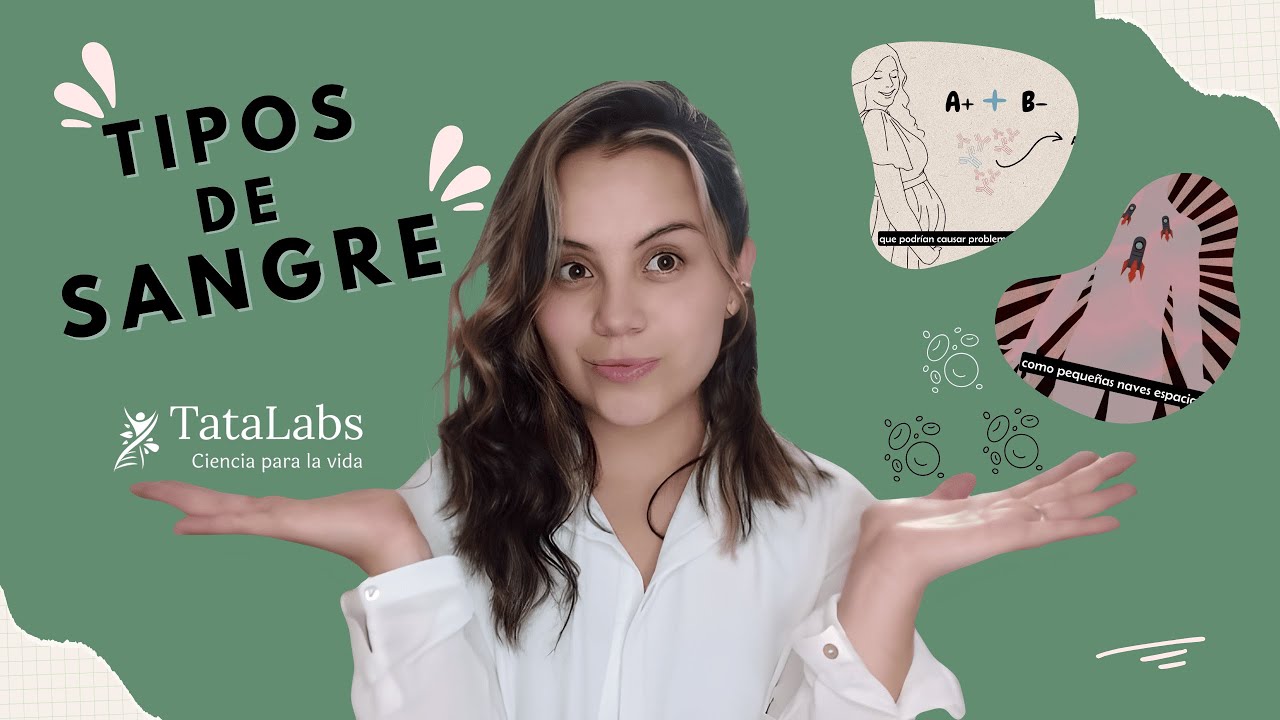 TIPOS SANGUINEOS ¿Qué significan realmente?