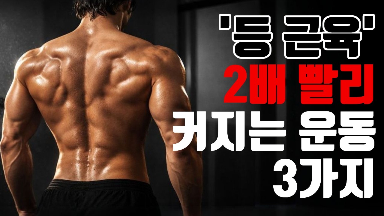 죽어라 등운동 해도 등이 커지지 않았던 이유와 해결방법 3가지 part.2